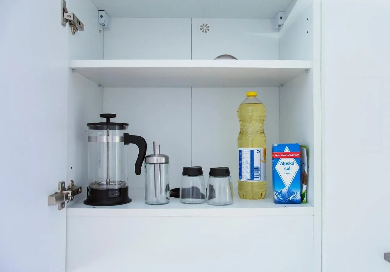 Modern Apartment Pricna 4 布拉格