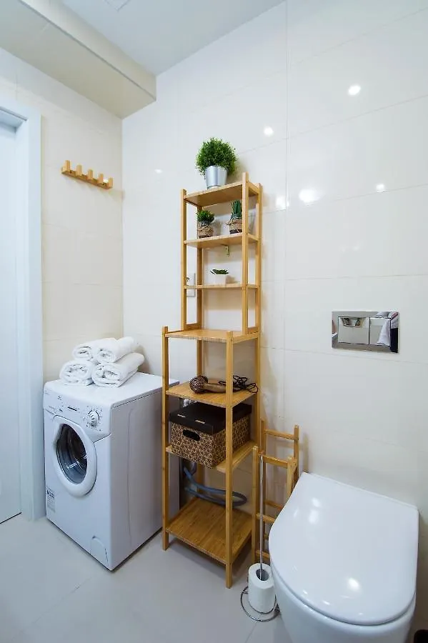 Modern Apartment Pricna 4 布拉格